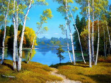 Load image into Gallery viewer, AZQSD DIY 50x40cm Paint By Numbers For Landscapes Home Decoration Oil Painting By Numbers Full Set For Adults